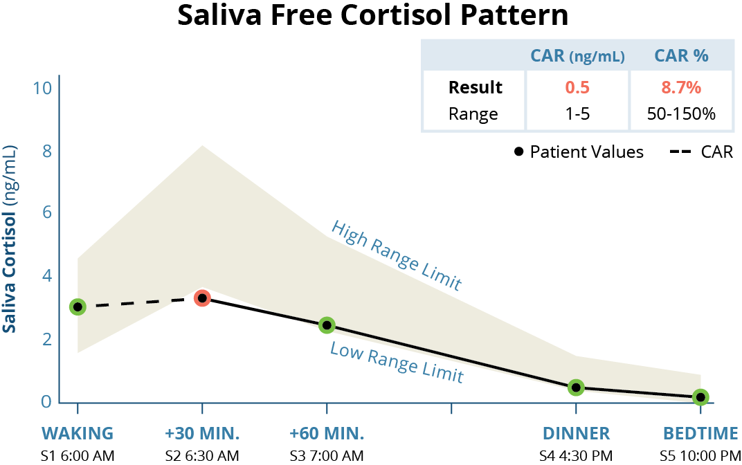 dsip and cortisol pattern Modified Circadian Rhythm: The Hidden Toll of Night-Shift Work Assessing Chronic Fatigue with Cortisol