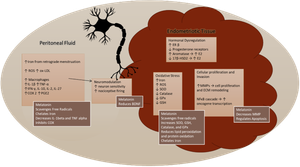 glutathione powder for face in poland GLUTATHIONE POWDER