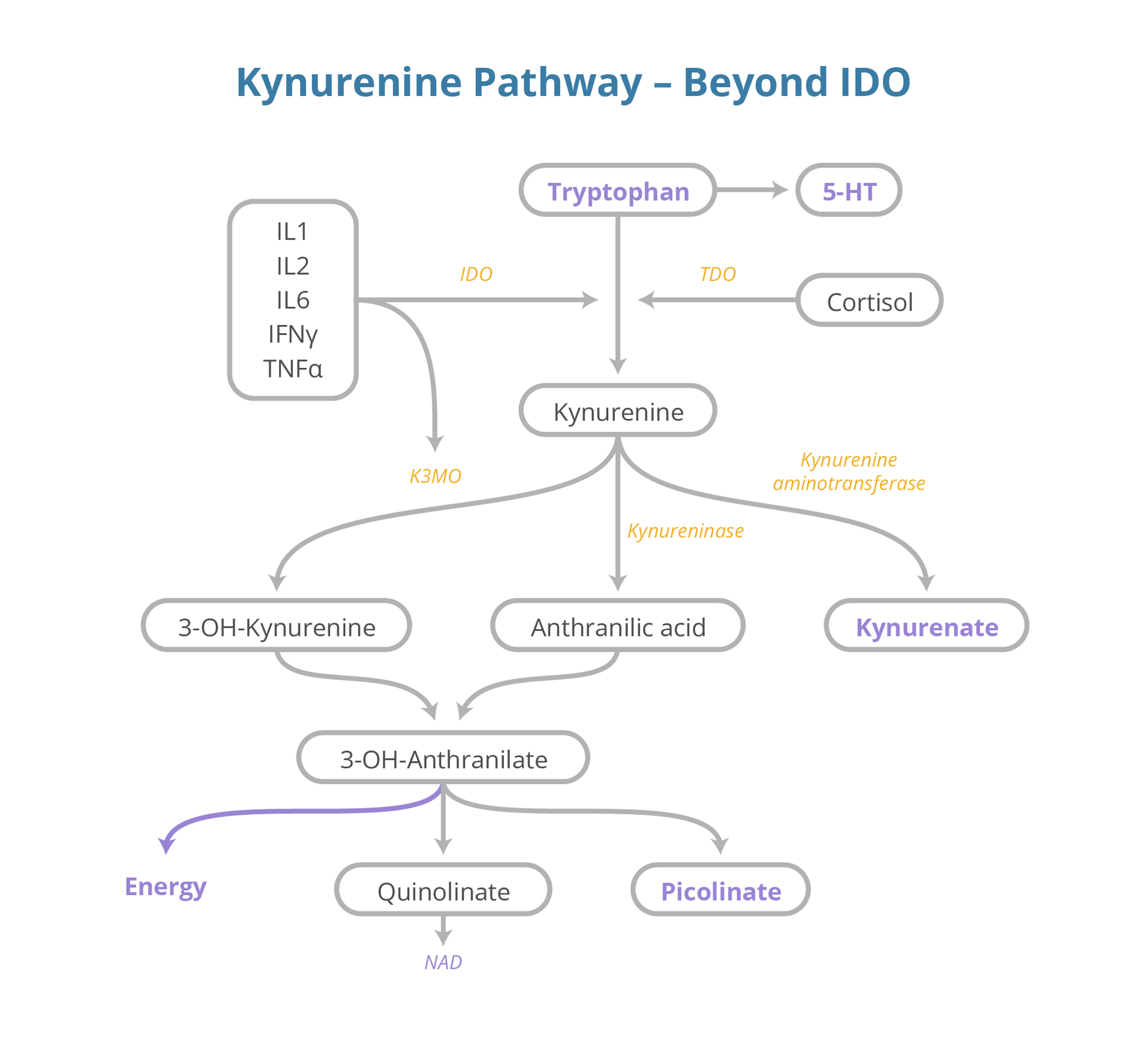 oat panel results glutathione Uncover Patient Wellness with 10 Organic Acid Biomarkers Flavor:Grape 30 Day Supply IV Hydration Clinic -